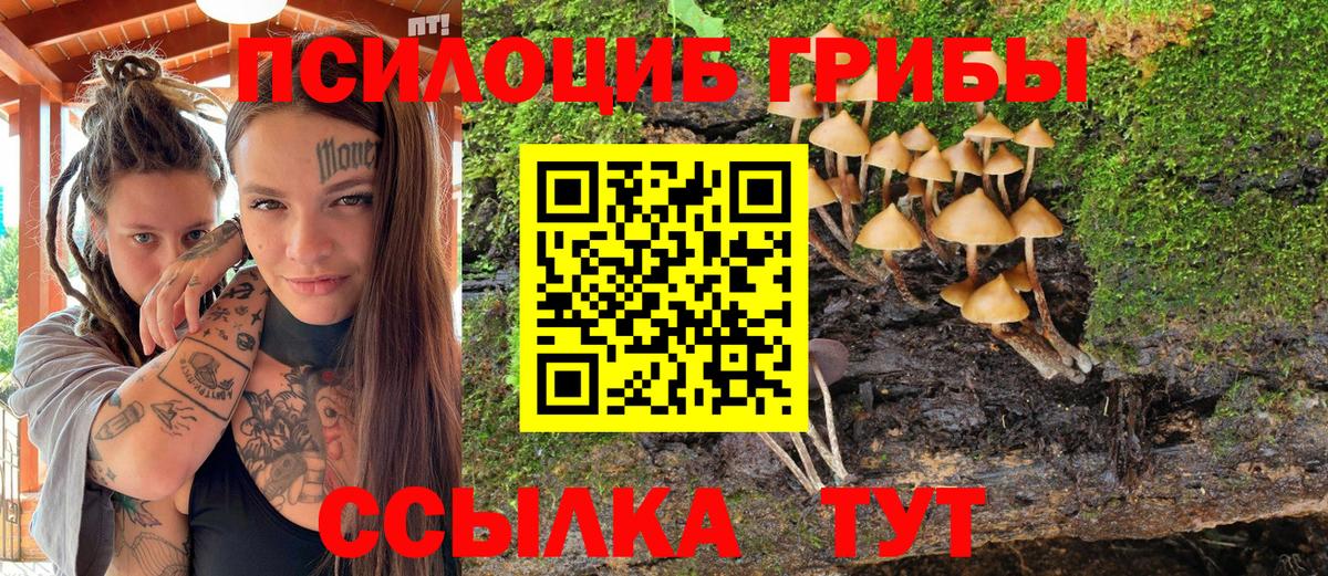 Галлюциногенные грибы Cubensis Тейково